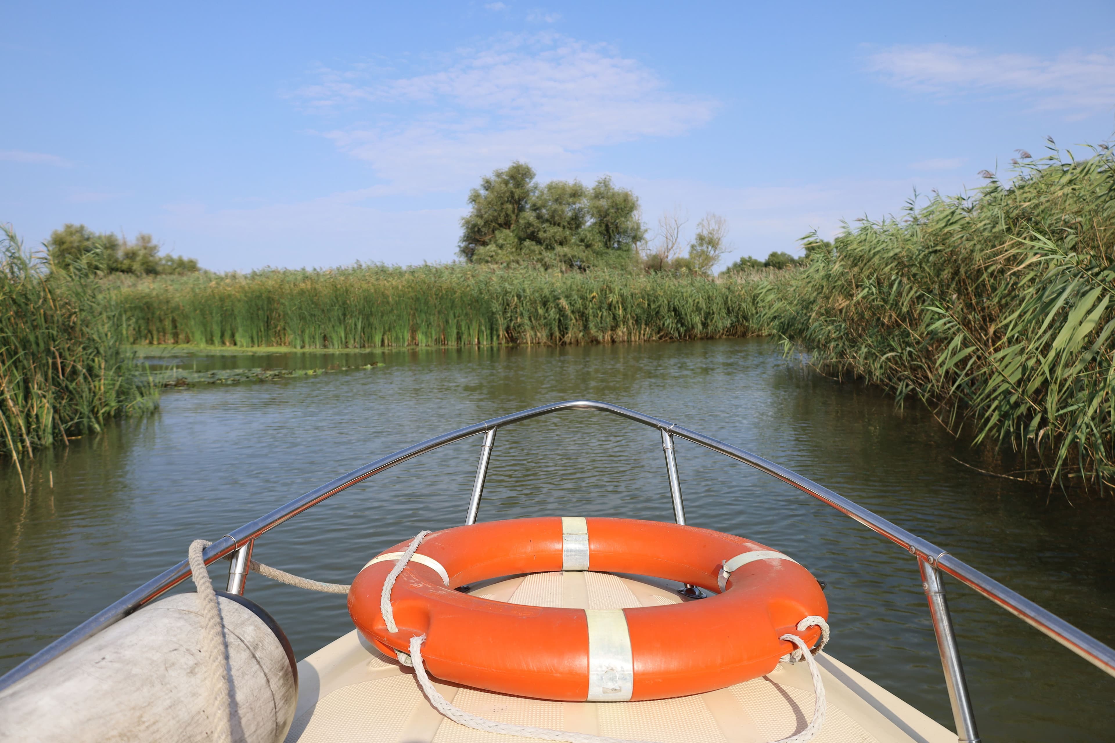 Biesbosch